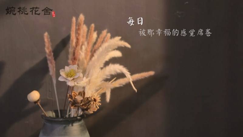 QQ截圖20170822143359_副本.jpg