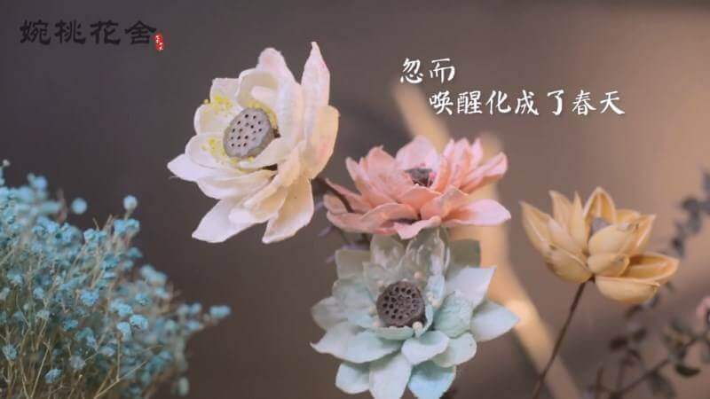 QQ截圖20170822143506_副本.jpg
