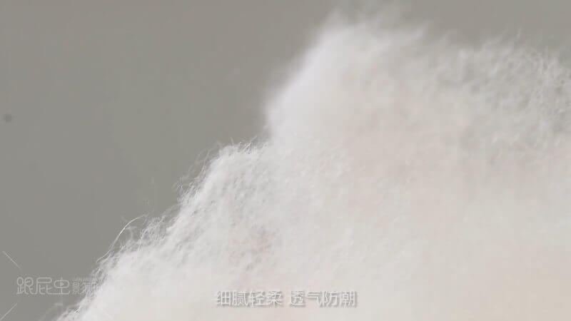 雅鹿：為幸福添彩[00_00_29][20180730-200215-0].JPG