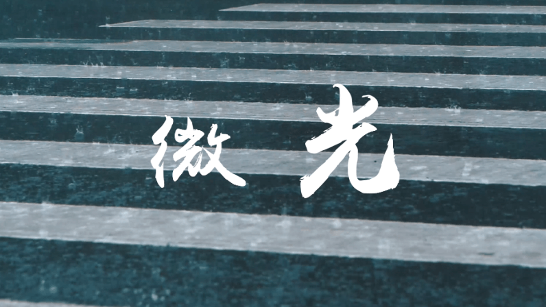 泰康人壽-微光